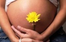 В Україні продається все: яйцеклітини, сперма, лоно жінки
