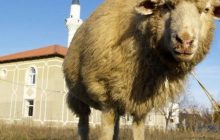 Мусульмане во вторник могут не работать