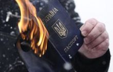 Депутат сжег паспорт в знак протеста против Бандеры-героя
