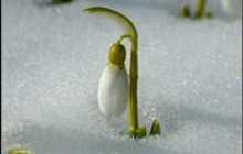 Завтра в Украине ожидается небольшой снег
