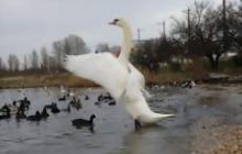 ГЛАВНОЕ на 4 февраля (день)
