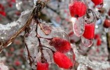 ГЛАВНОЕ на 6 февраля 