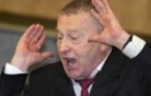 Заукраїнці вимагають кари Жириновському