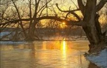 Уровень воды в реках Украины существенно повысился
