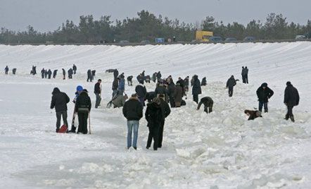 На Киевском водохранилище добровольцы спасают рыбу от замора (фото)