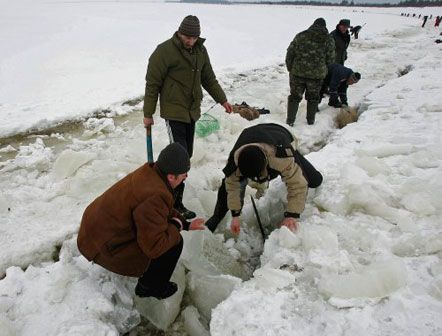 На Киевском водохранилище добровольцы спасают рыбу от замора (фото)