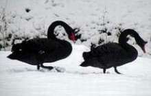 Завтра в Крыму ожидаются незначительные осадки