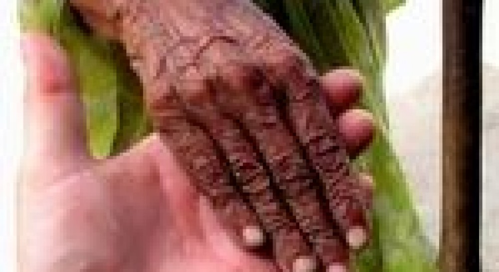 Борис Філатов: Кочівник і бродяга – абсолютно не співвідносні одне з одним поняття