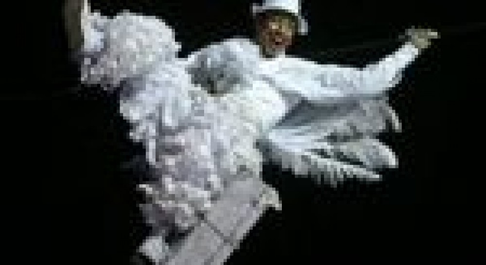 Французи привезли до Києва янголів