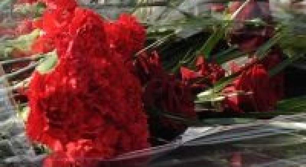 Харків. 9 травня 2010 (фоторепортаж)