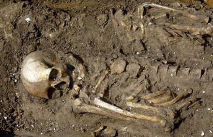 Скелет людини, знайдений під час археологічних розкопок в місті Батурин 