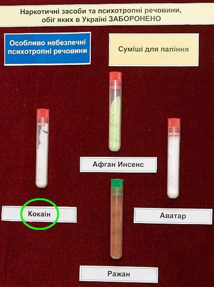 Сегодня у Януковича будут жечь «кокаін» (фото)
