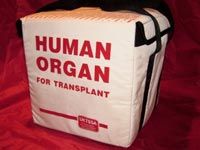 МВС: у банді «чорних трансплантологів» були провідні лікарі київської клініки