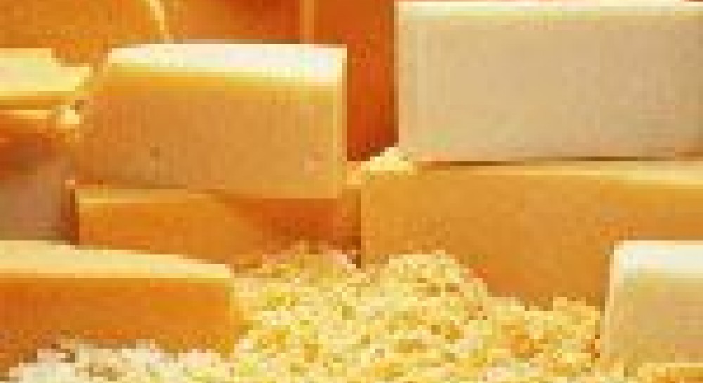Російський сир: тестування різних марок