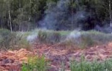 Площадь лесных пожаров в России уменьшилась
