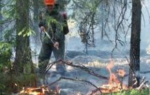 ГОЛОВНЕ на 12 серпня