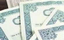 Объем второго выпуска НДС-облигаций превысит 13 млрд. грн.