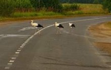 25 марта температура не изменится: днем - 5-7° тепла