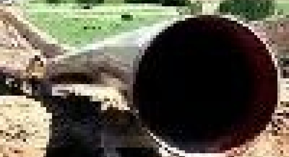 Украина может получить от «Южного потока» немалую выгоду