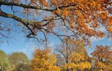 Завтра в Украине будет тепло и сухо 