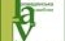 10 загроз місцевим виборам