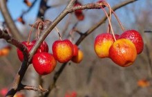 Главное за 22 октября (вечер)