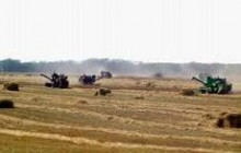 Европейские эксперты считают перспективным создание в Украине сельхозкооперативов