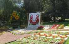 Головне за 13 листопада
