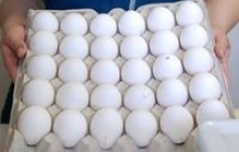 4 человека отравились яйцами в Симферополе
