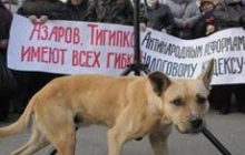 Підприємці відновлюють акції протесту