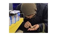 Реформаторские пенсии: старые не урежут, на новых не сэкономят