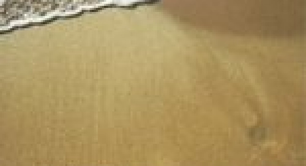 Американське "Зів’яле листя" Оксани Луцишиної