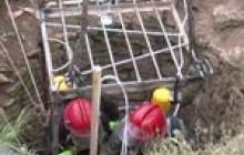 Звірячі розваги сільських молодиків
