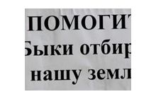 Драка на стройке Януковича-младшего: «люди с планеты Земля» били женщин по почкам, милиция наблюдала