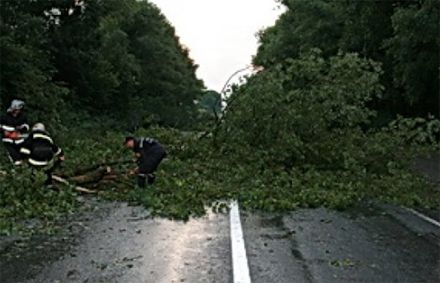 Сильный ветер заблокировал автостраду в Западной Украине (фото)