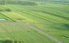 Держземагентство пропонує зробити безкоштовною видачу рішень про передачу землі у власність