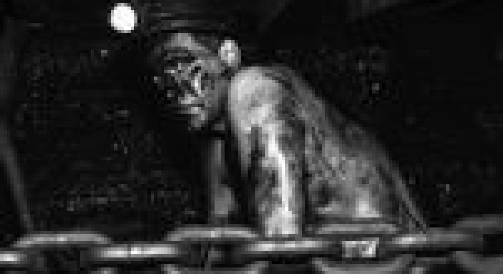 У Німеччині видано чесну фотокнигу про Донбас та нелегальні шахти