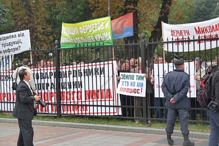 Литвин не знает, кто «посадил» ВР в двухметровую клетку (фото)