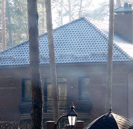 Як заступник Генпрокурора Кузьмін обзавівся маєтком (фото)