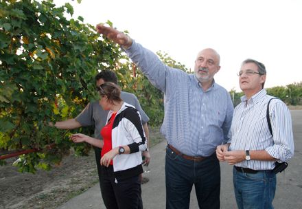 Європа допоможе українським виноробам