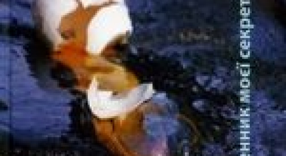 Секс, бізнес по-донецьки і революція – новинка від братів Капранових