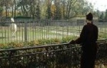 Столичний зоопарк чекає серйозна реорганізація. Чи покращить це життя тварин?