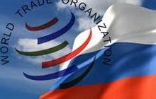 РФ после присоединения к ВТО не ограничивает свое право регулировать цены на энергоносители