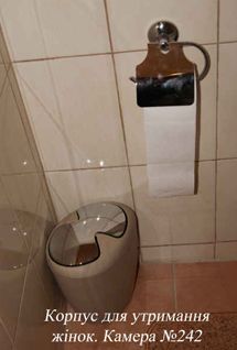 ”Старая” камера Тимошенко