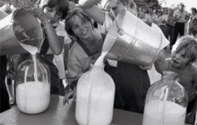 Производство молока в Украине за 4 месяца 2013 года выросло на 2,7%