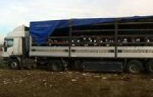 З Вінниччини до Польщі повезли 20 тонн зіпсованих пестицидів