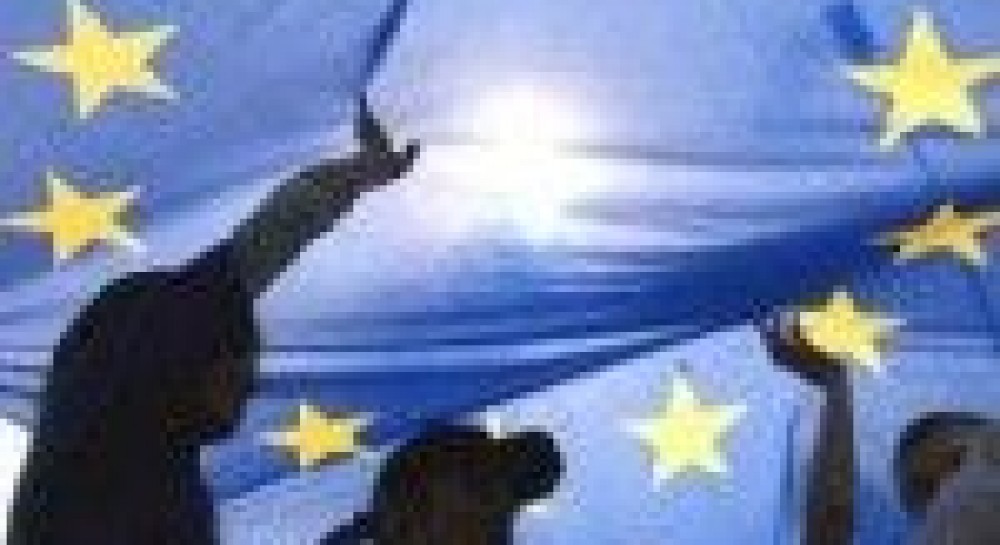 Санкции ЕС не станут катастрофой для Ирана