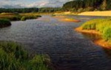 Вінничани заходились будувати у прибережно-захисних смугах водойм