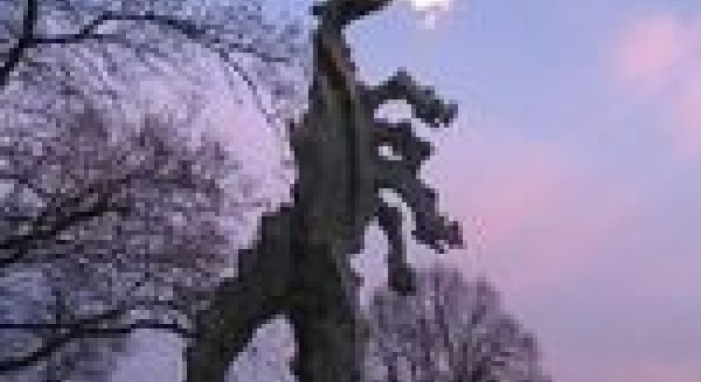 Про долі європейських драконів