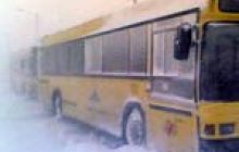 На Вінниччині відмінили 130 автобусних рейсів